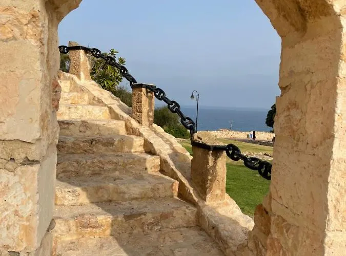 Costa Blanca تورّيفيِخا